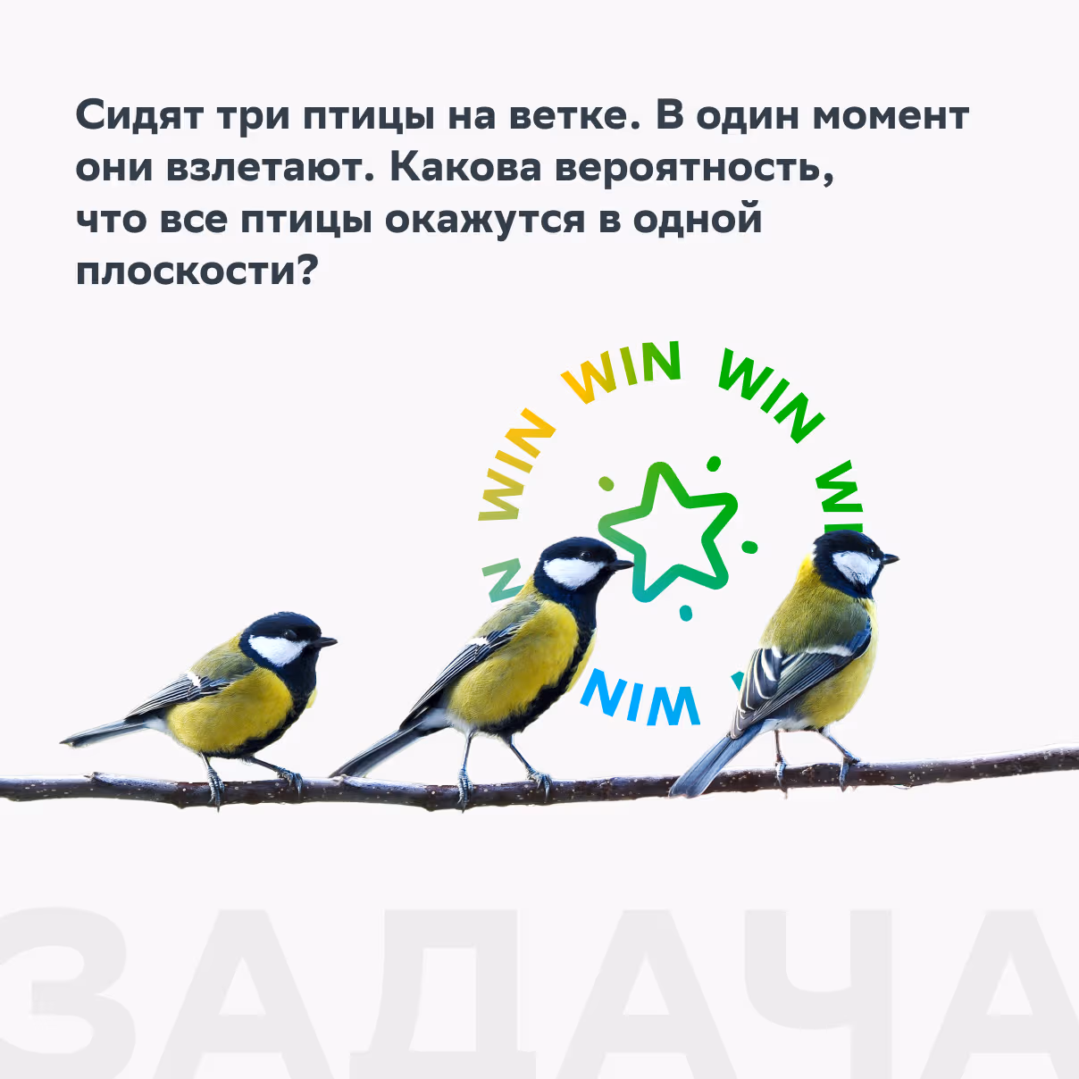 Puzzles: three birds on a branch, and a bucket