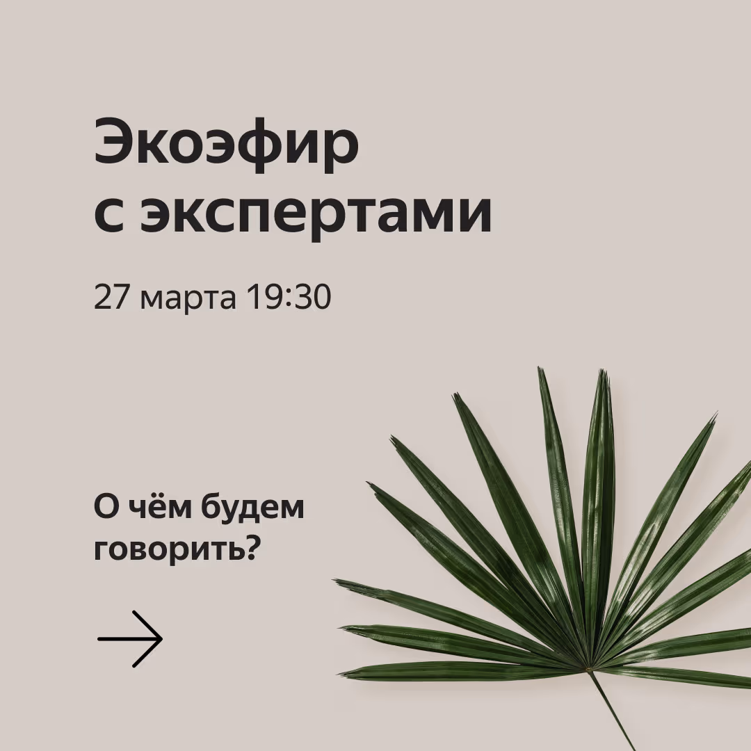 Posts for Yandex Market: a live talk on ecology with experts, page 6