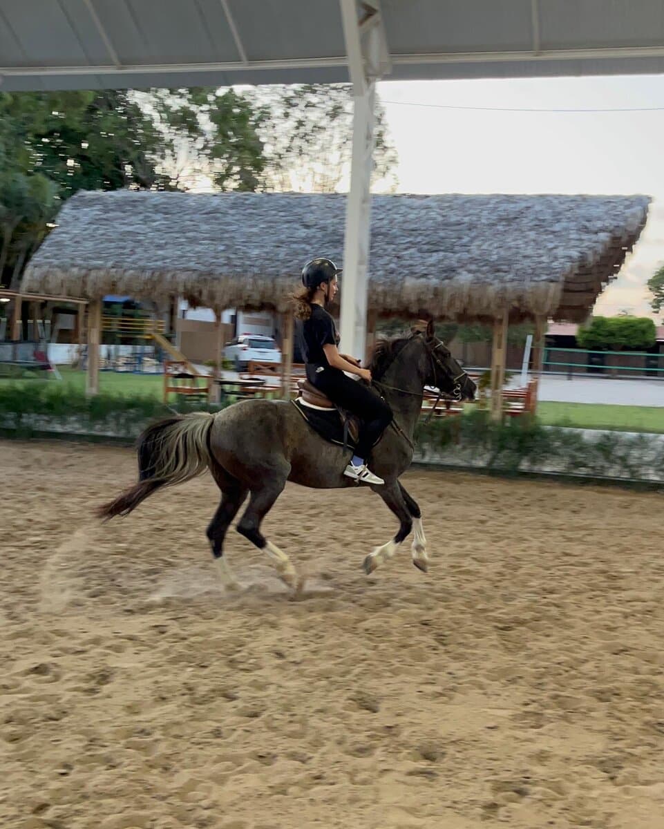 Riding a dark horse in an arena