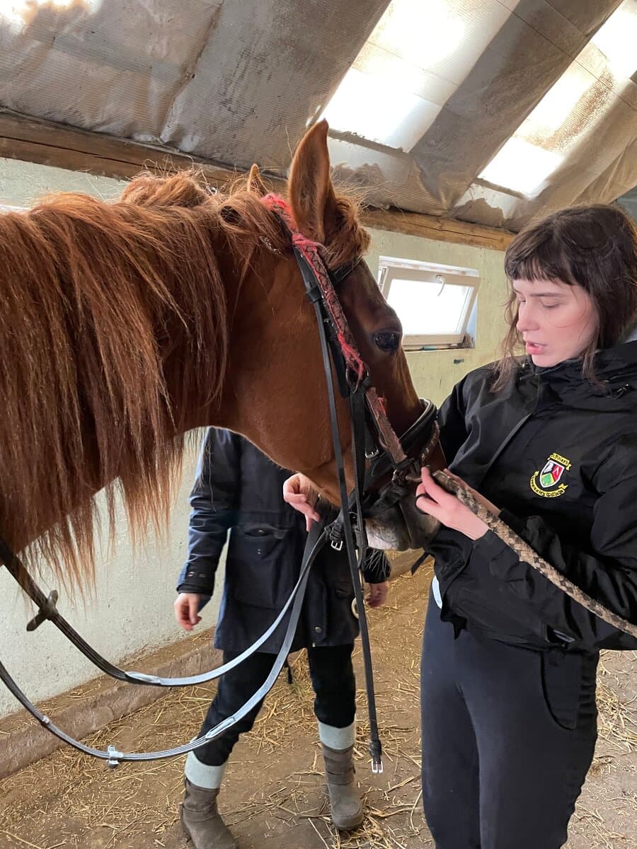 Me with a horse in the stable