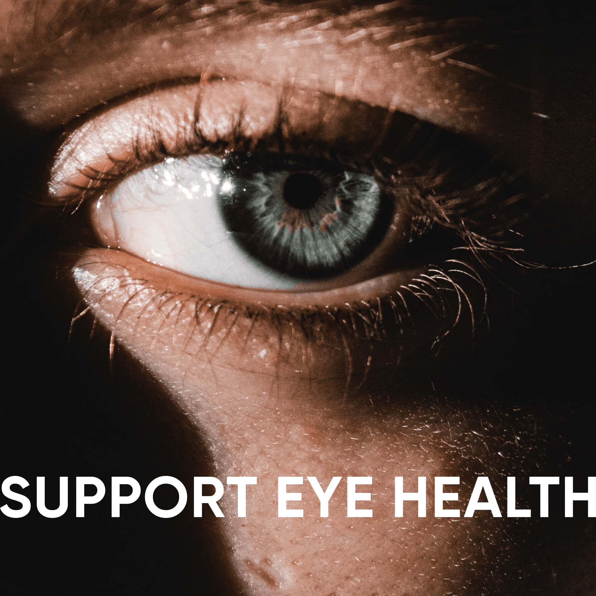 Dāleez social post: Support eye health, a close-up of an eye