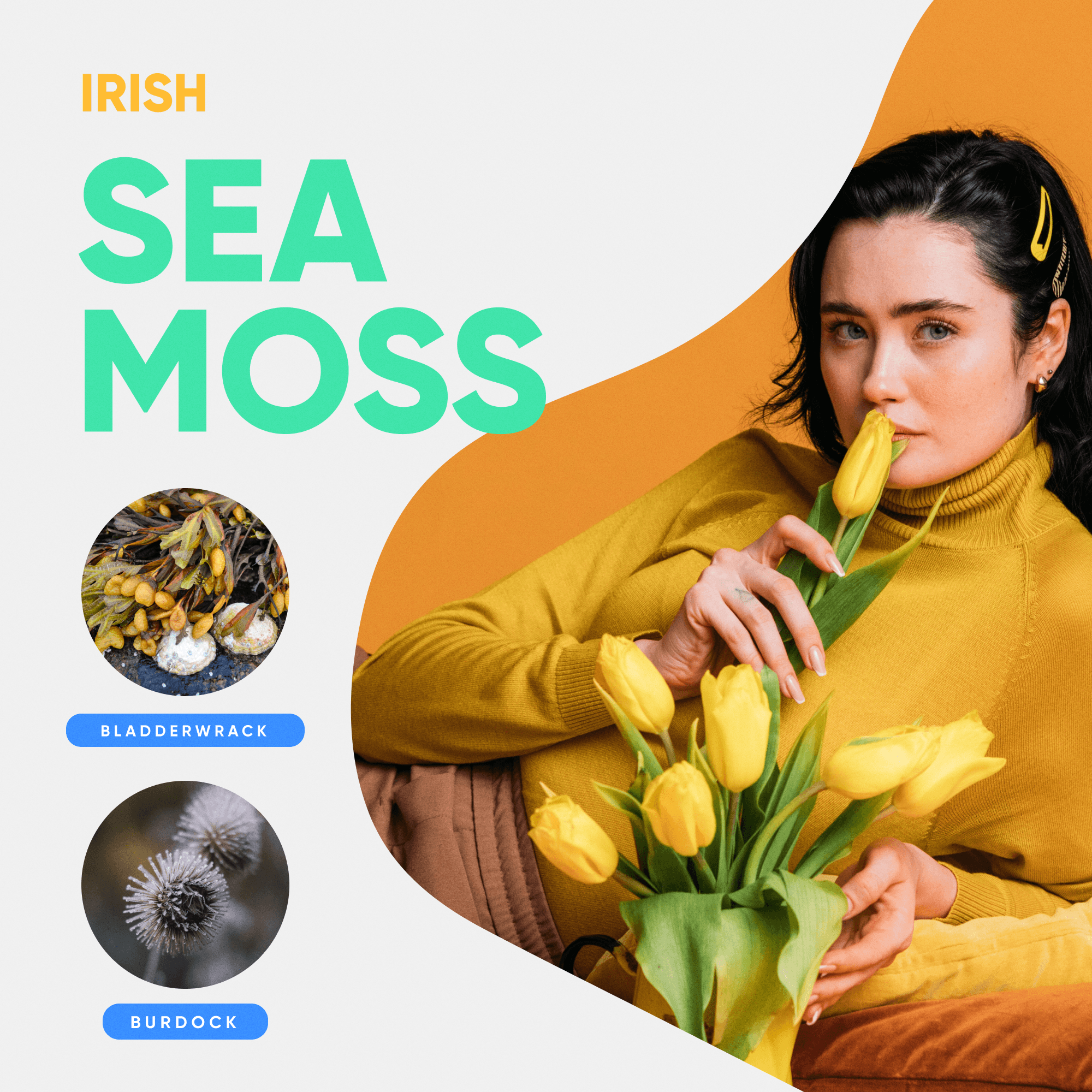 Irish Sea Moss listing picture: a woman with yellow tulips, bladderwrack and burdock